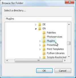 Browse For Folder Window