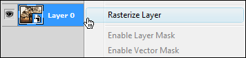 CS4 Rasterize Layer menu