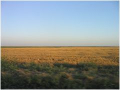 Fields in Kansas